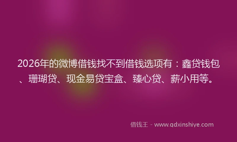 2026年的微博借钱找不到借钱选项有：鑫贷钱包、珊瑚贷、现金易贷宝盒、臻心贷、薪小用等。