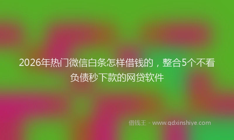 2026年热门微信白条怎样借钱的，整合5个不看负债秒下款的网贷软件