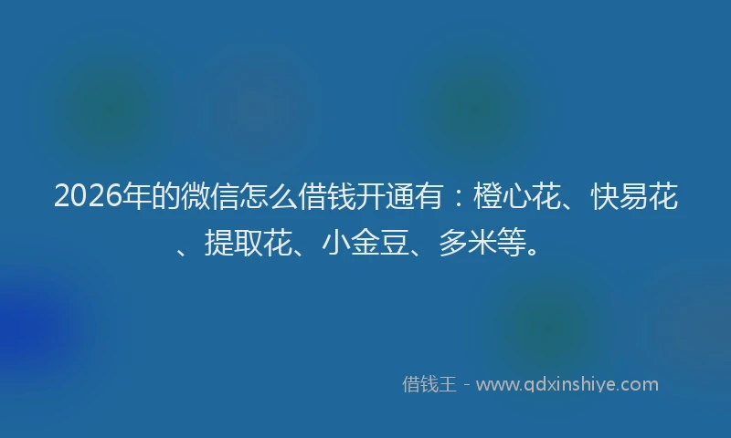 2026年的微信怎么借钱开通有：橙心花、快易花、提取花、小金豆、多米等。