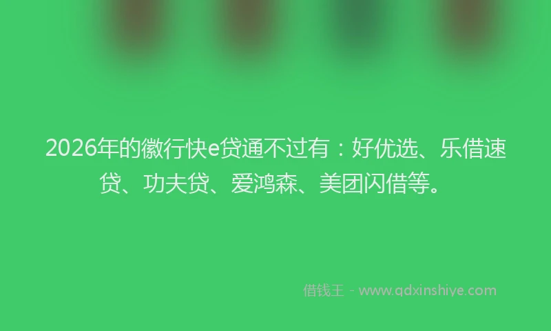 2026年的徽行快e贷通不过有：好优选、乐借速贷、功夫贷、爱鸿森、美团闪借等。