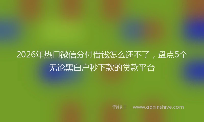 2026年热门微信分付借钱怎么还不了，盘点5个无论黑白户秒下款的贷款平台