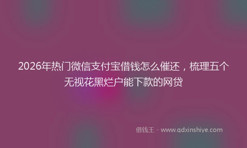 2026年热门微信支付宝借钱怎么催还，梳理五个无视花黑烂户能下款的网贷