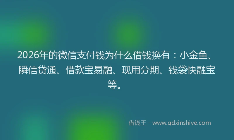 2026年的微信支付钱为什么借钱换有:小金鱼、瞬信贷通、借款宝易融、现用分期、钱袋快融宝等。