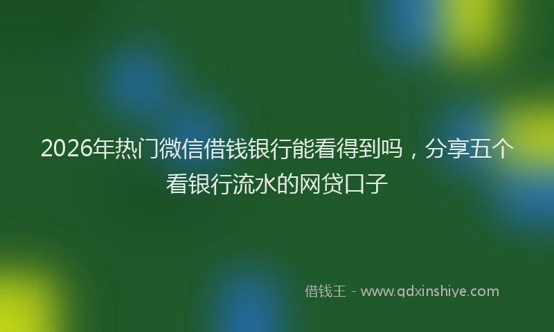 2026年热门微信借钱银行能看得到吗，分享五个看银行流水的网贷口子