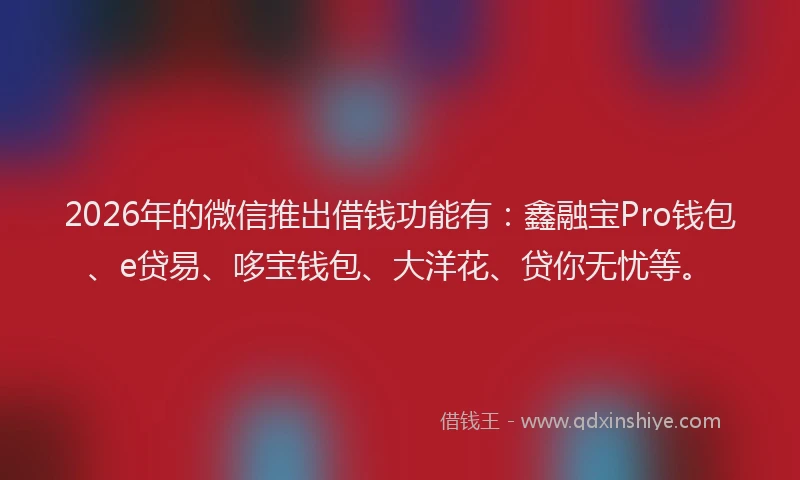 2026年的微信推出借钱功能有：鑫融宝Pro钱包、e贷易、哆宝钱包、大洋花、贷你无忧等。