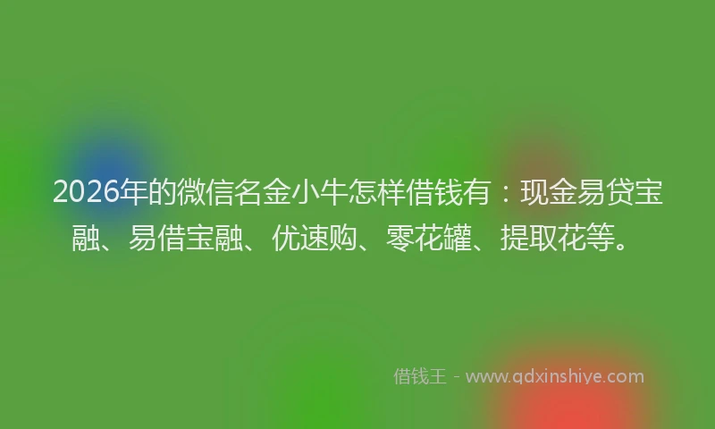 2026年的微信名金小牛怎样借钱有：现金易贷宝融、易借宝融、优速购、零花罐、提取花等。