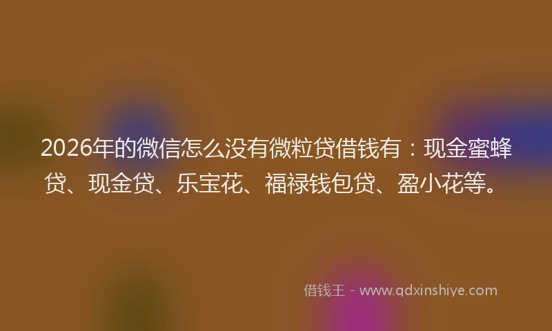 2026年的微信怎么没有微粒贷借钱有：现金蜜蜂贷、现金贷、乐宝花、福禄钱包贷、盈小花等。