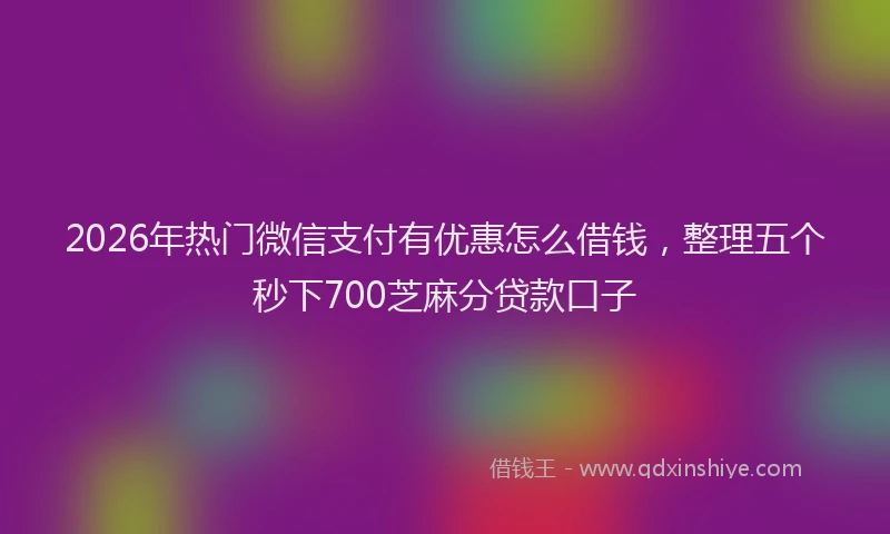 2026年热门微信支付有优惠怎么借钱，整理五个秒下700芝麻分贷款口子