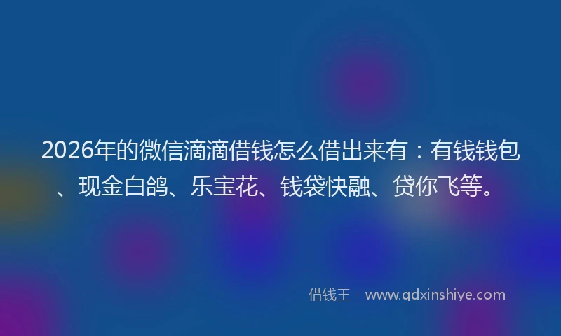 2026年的微信滴滴借钱怎么借出来有:有钱钱包、现金白鸽、乐宝花、钱袋快融、贷你飞等。