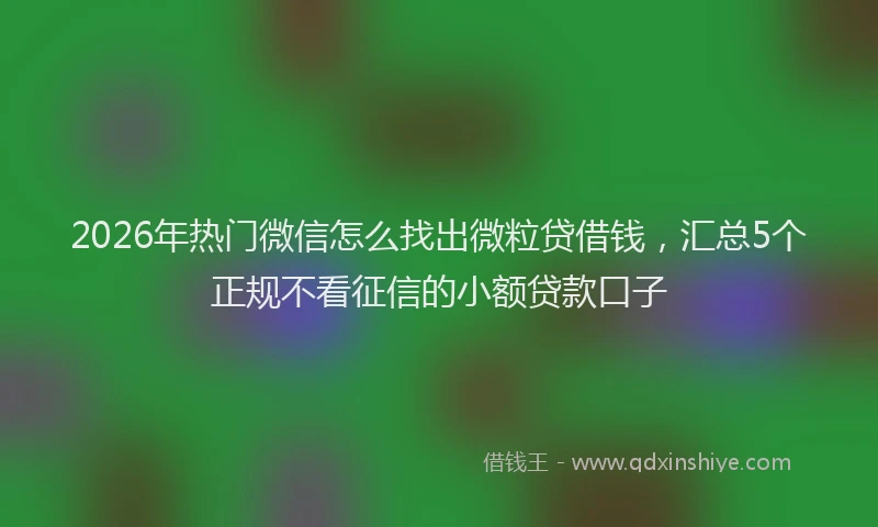 2026年热门微信怎么找出微粒贷借钱，汇总5个正规不看征信的小额贷款口子