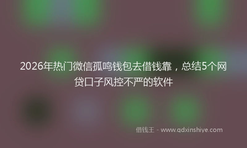 2026年热门微信孤鸣钱包去借钱靠,总结5个网贷口子风控不严的软件