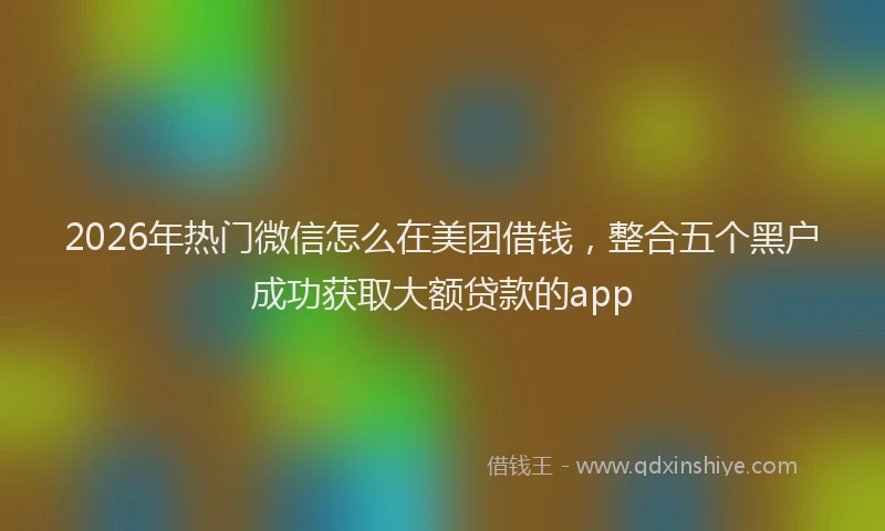 2026年热门微信怎么在美团借钱，整合五个黑户成功获取大额贷款的app