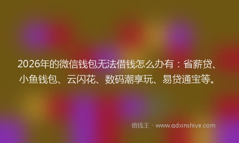 2026年的微信钱包无法借钱怎么办有：省薪贷、小鱼钱包、云闪花、数码潮享玩、易贷通宝等。