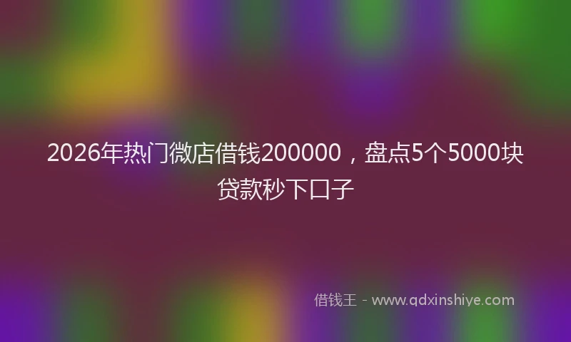 2026年热门微店借钱200000，盘点5个5000块贷款秒下口子