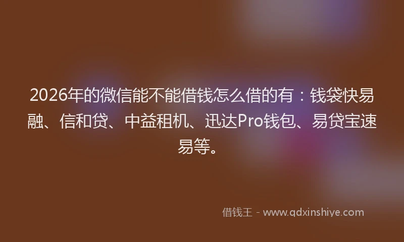 2026年的微信能不能借钱怎么借的有：钱袋快易融、信和贷、中益租机、迅达Pro钱包、易贷宝速易等。