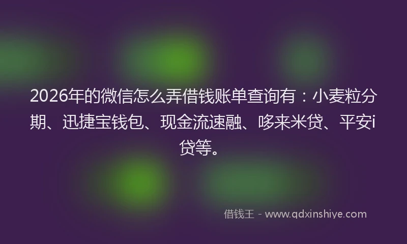 2026年的微信怎么弄借钱账单查询有：小麦粒分期、迅捷宝钱包、现金流速融、哆来米贷、平安i贷等。