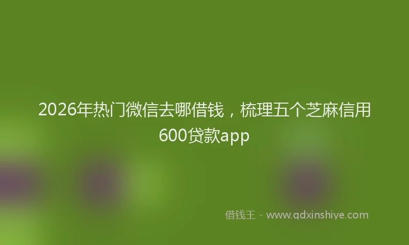 2026年热门微信去哪借钱，梳理五个芝麻信用600贷款app