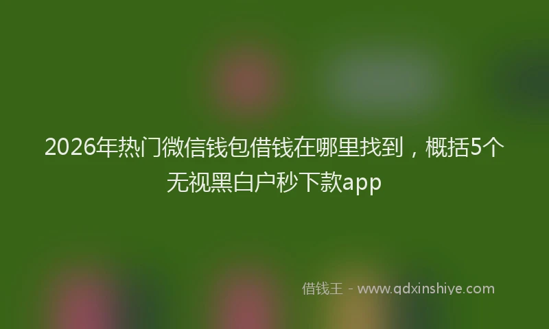 2026年热门微信钱包借钱在哪里找到，概括5个无视黑白户秒下款app
