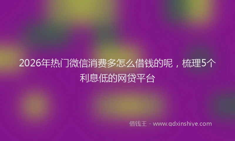 2026年热门微信消费多怎么借钱的呢，梳理5个利息低的网贷平台