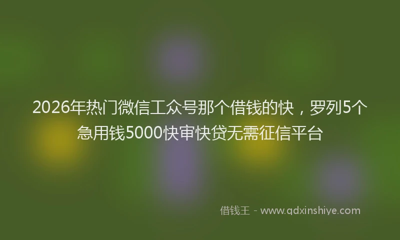 2026年热门微信工众号那个借钱的快，罗列5个急用钱5000快审快贷无需征信平台