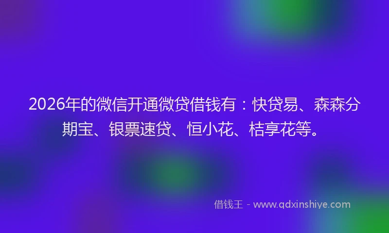 2026年的微信开通微贷借钱有:快贷易、森森分期宝、银票速贷、恒小花、桔享花等。