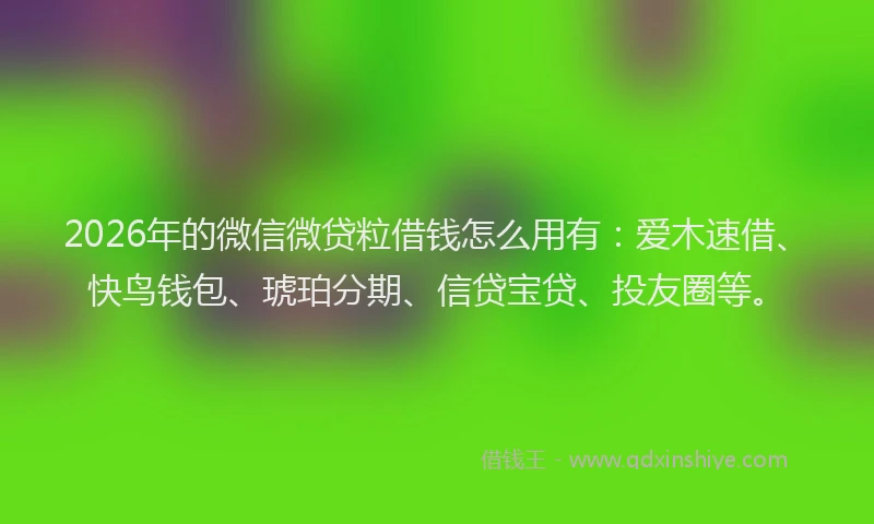 2026年的微信微贷粒借钱怎么用有:爱木速借、快鸟钱包、琥珀分期、信贷宝贷、投友圈等。