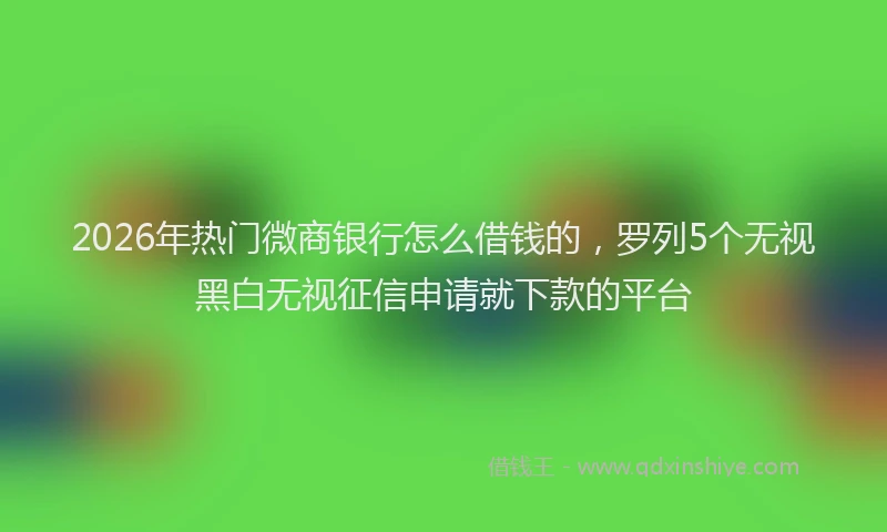 2026年热门微商银行怎么借钱的，罗列5个无视黑白无视征信申请就下款的平台