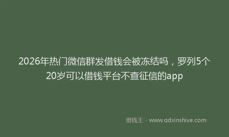 2026年热门微信群发借钱会被冻结吗,罗列5个20岁可以借钱平台不查征信的app