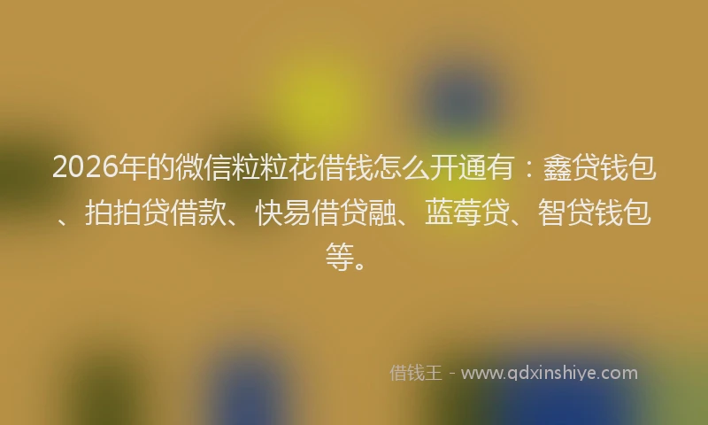 2026年的微信粒粒花借钱怎么开通有：鑫贷钱包、拍拍贷借款、快易借贷融、蓝莓贷、智贷钱包等。