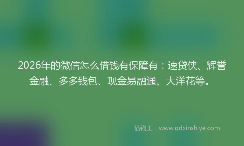 2026年的微信怎么借钱有保障有：速贷侠、辉誉金融、多多钱包、现金易融通、大洋花等。