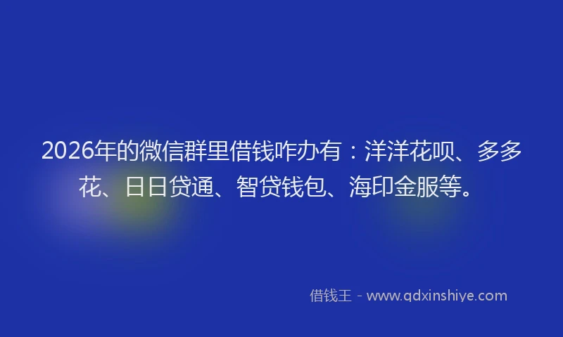 2026年的微信群里借钱咋办有：洋洋花呗、多多花、日日贷通、智贷钱包、海印金服等。