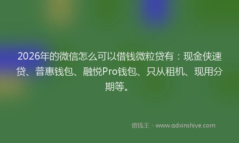 2026年的微信怎么可以借钱微粒贷有：现金侠速贷、普惠钱包、融悦Pro钱包、只从租机、现用分期等。
