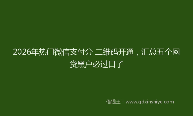 2026年热门微信支付分 二维码开通，汇总五个网贷黑户必过口子