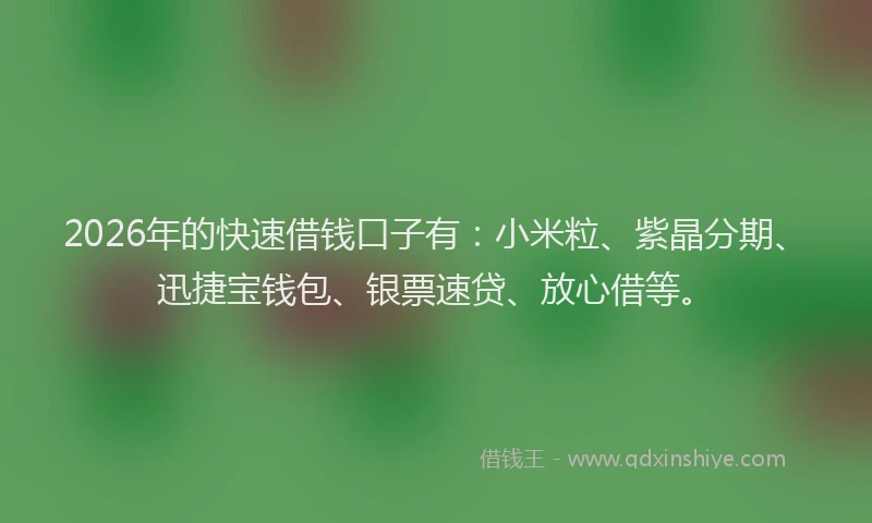2026年的快速借钱口子有：小米粒、紫晶分期、迅捷宝钱包、银票速贷、放心借等。