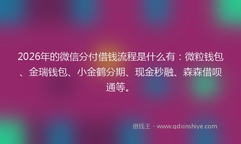 2026年的微信分付借钱流程是什么有：微粒钱包、金瑞钱包、小金鹤分期、现金秒融、森森借呗通等。