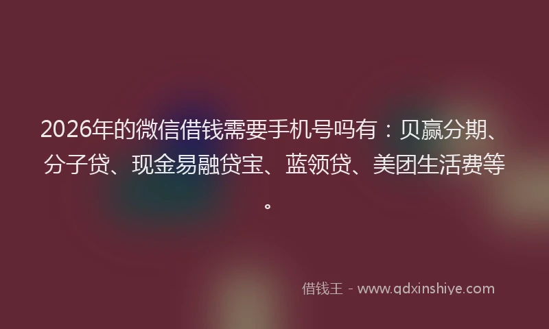 2026年的微信借钱需要手机号吗有：贝赢分期、分子贷、现金易融贷宝、蓝领贷、美团生活费等。