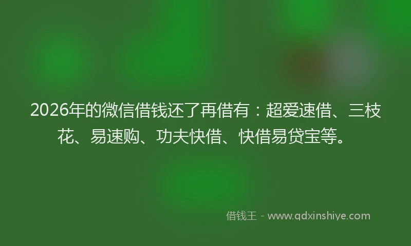 2026年的微信借钱还了再借有：超爱速借、三枝花、易速购、功夫快借、快借易贷宝等。