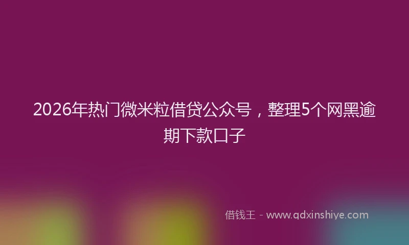 2026年热门微米粒借贷公众号，整理5个网黑逾期下款口子