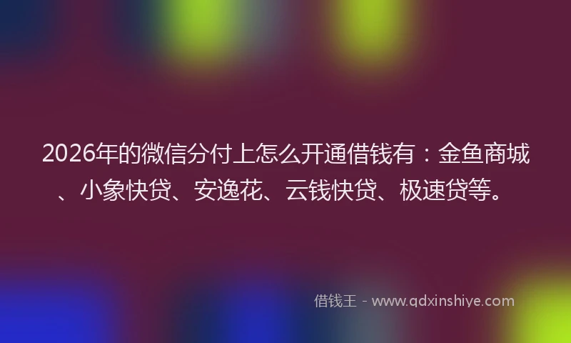 2026年的微信分付上怎么开通借钱有:金鱼商城、小象快贷、安逸花、云钱快贷、极速贷等。
