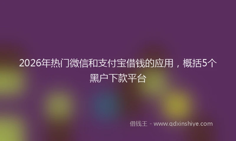 2026年热门微信和支付宝借钱的应用，概括5个黑户下款平台