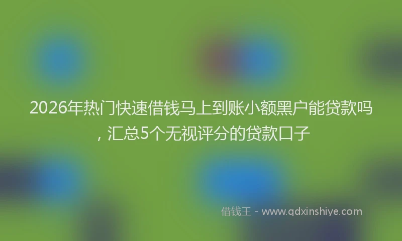 2026年热门快速借钱马上到账小额黑户能贷款吗，汇总5个无视评分的贷款口子