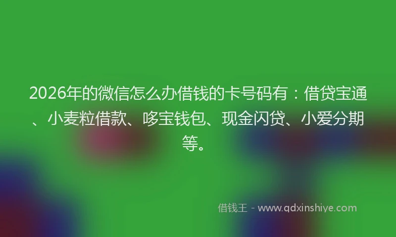 2026年的微信怎么办借钱的卡号码有：借贷宝通、小麦粒借款、哆宝钱包、现金闪贷、小爱分期等。