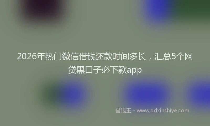 2026年热门微信借钱还款时间多长，汇总5个网贷黑口子必下款app