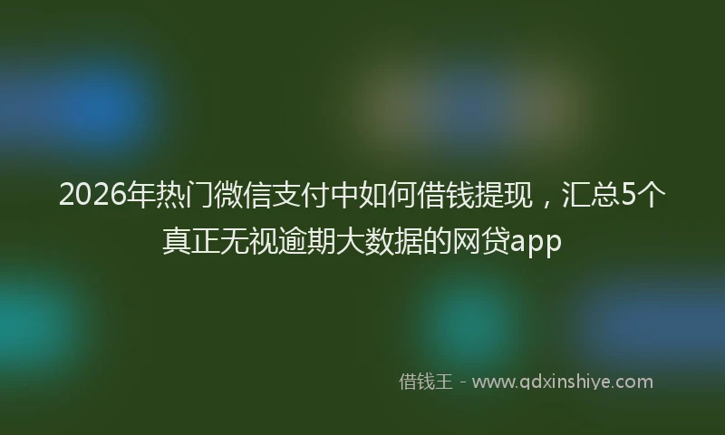2026年热门微信支付中如何借钱提现，汇总5个真正无视逾期大数据的网贷app