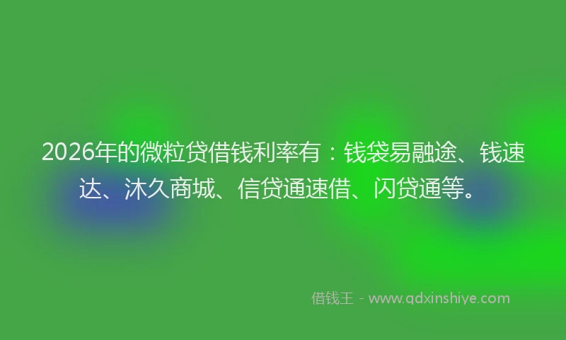 2026年的微粒贷借钱利率有：钱袋易融途、钱速达、沐久商城、信贷通速借、闪贷通等。