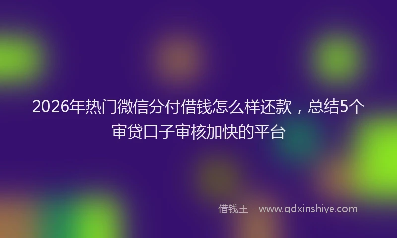 2026年热门微信分付借钱怎么样还款，总结5个审贷口子审核加快的平台