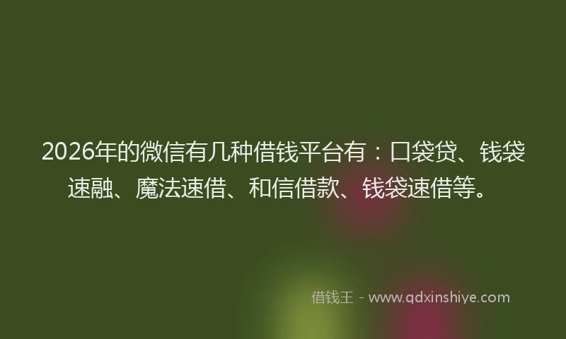 2026年的微信有几种借钱平台有：口袋贷、钱袋速融、魔法速借、和信借款、钱袋速借等。