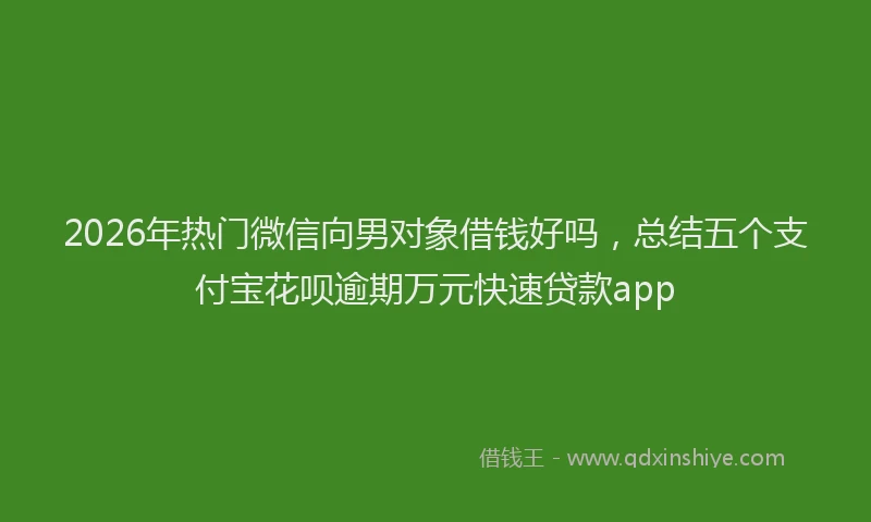 2026年热门微信向男对象借钱好吗，总结五个支付宝花呗逾期万元快速贷款app
