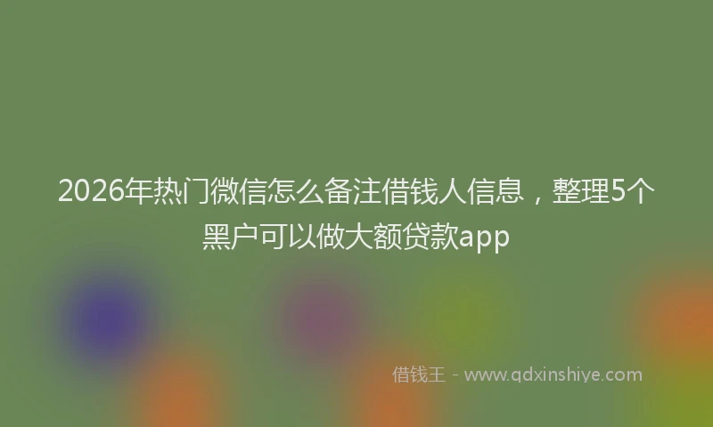 2026年热门微信怎么备注借钱人信息，整理5个黑户可以做大额贷款app
