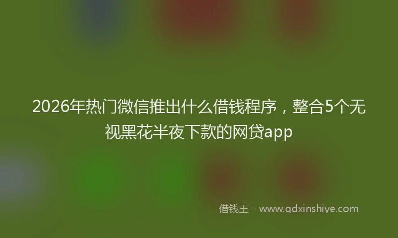 2026年热门微信推出什么借钱程序，整合5个无视黑花半夜下款的网贷app